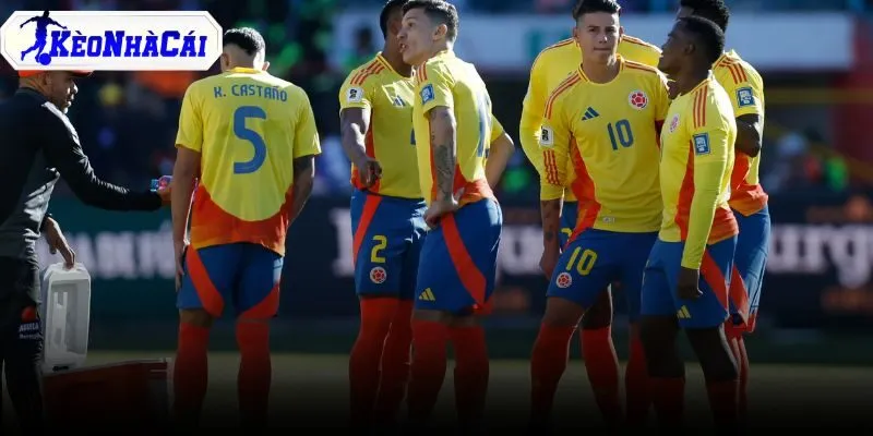 Đội hình dự kiến Colombia vs Costa Rica 06:00 ngày 02/06/2026 trước giờ bóng lăn